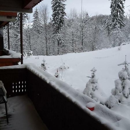 Fairytale Apartment Close To Bradu Ski Slope Poiana Brasov Luaran gambar