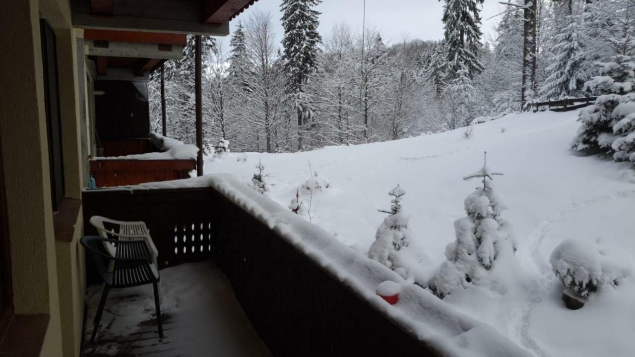 Fairytale Apartment Close To Bradu Ski Slope Poiana Brasov Luaran gambar