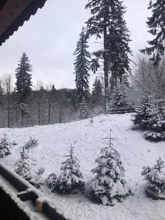 Fairytale Apartment Close To Bradu Ski Slope Poiana Brasov Luaran gambar